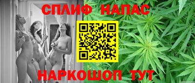 гидра Славянск-на-Кубани