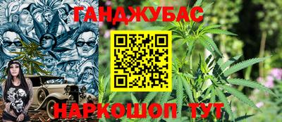 гидра Славянск-на-Кубани