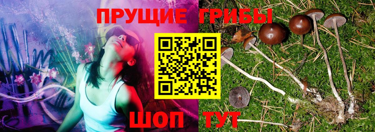 Псилоцибиновые грибы GOLDEN TEACHER Новочебоксарск